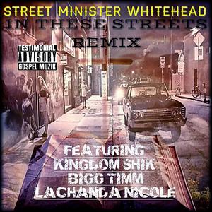 In These Streets (feat. Kingdom Shik, Lachanda Nicole & Bigg Timm) (Remix)