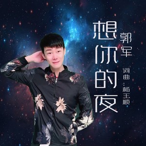 想你的夜-郭军