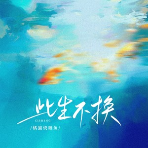 此生不换