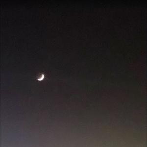 overdose (feat. safeatlast) (Explicit)