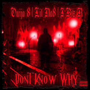Don't Know Why (feat. Lil Na8 & J Biz R) (Explicit)
