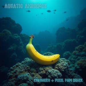 AQUATIC AMBIENCE (Dubstep Remix)