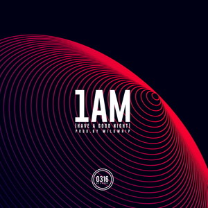 1AM (Have A Good Night) (Prod.By Wildwhip)