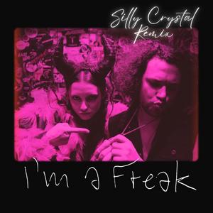 I’m a Freak (Silly Crystal Remix)