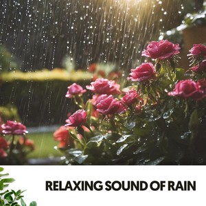 Relaxing Sound of Rain: Melodies from the Mist