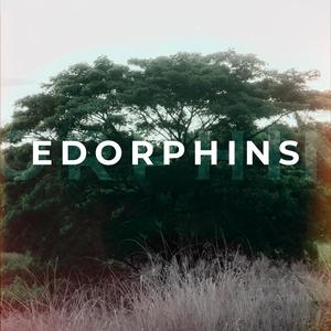 Edorphins (feat. NeckmFlame) (Explicit)