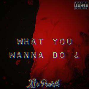 What You wanna do ? (Explicit)