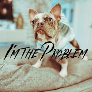I'm The Problem