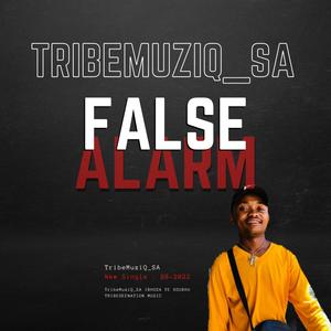 False Alarm (Sgija Way)