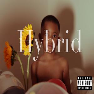 Hybrid (Explicit)