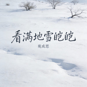 看满地雪皑皑