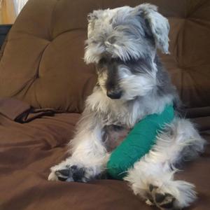 I WANNA DO IT AGAIN (MASTER 2) (Explicit)