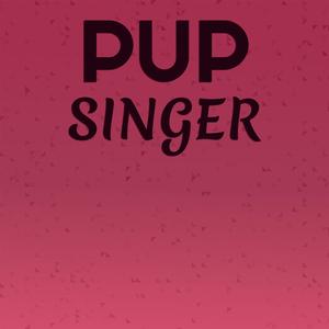 Pup Singer