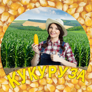 Кукуруза