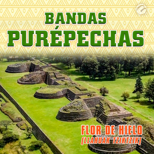 Flor de Hielo(Llahuak Tziktzik)