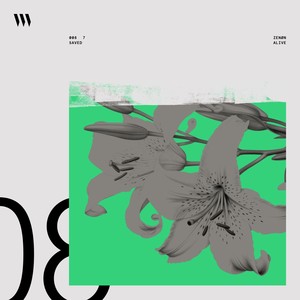 Alive (Original Mix)