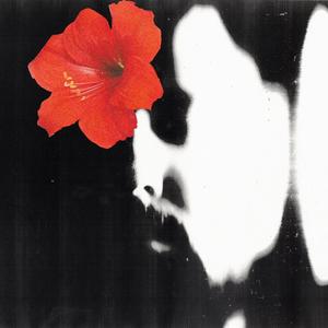 Stars, I Have Seen Them Fall (feat. Oh No Noh & Hans Arnold) (Instrumental Version)