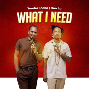 What I Need (feat. Dan Lu)