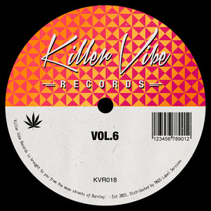 Vibes Vol. 6