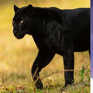 Efd9ea00bbe6ff9635cc2f3fc12