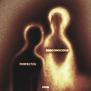 perfectos desconocidos