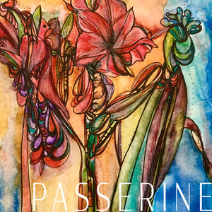 Passerine