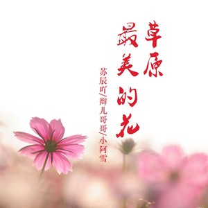 要不要和我处对象