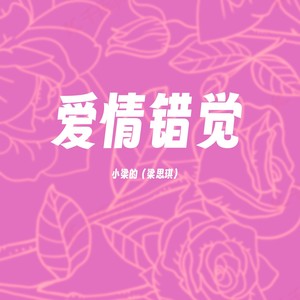 爱情错觉 (DJ洒脱版)封面