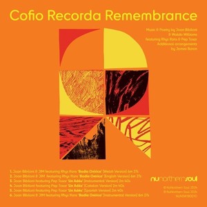 Cofio Recorda Remembrance