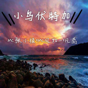 小鸟伏特加 (Remix)