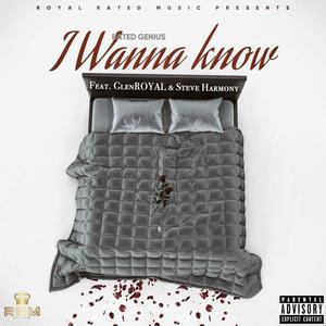 I wanna know(feat. Glenroyal & Steve harmony)