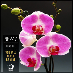 You Will Never Be Mine (Vocal Mix)