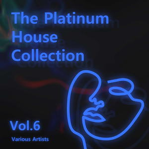 Various Artists - The Platinum House Collection Vol.6