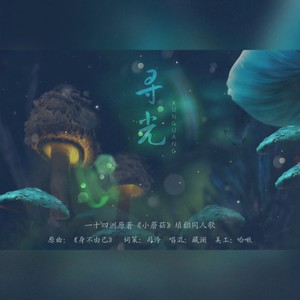 寻光 (一十四洲原著《小蘑菇》填翻同人歌)