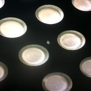 porcelain cups (Explicit)