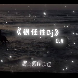 很任性DJ (0.8x)封面