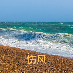 我从悬崖跌落