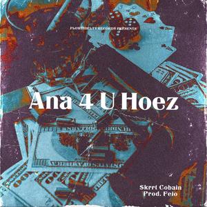 Ana 4 U Hoez (Explicit)