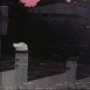 Valentine (feat. *Tsty!) (Explicit)