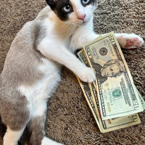 Too influenced (Explicit)