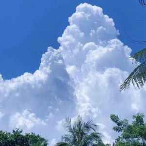 It's Sultry (Radio Edit|DJ版)