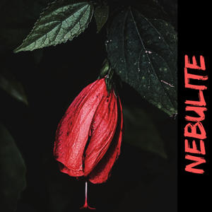 Give You Up (feat. Nomeli)