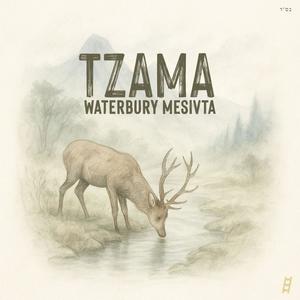 Tzama (feat. Chaim Ghoori & EKEV)