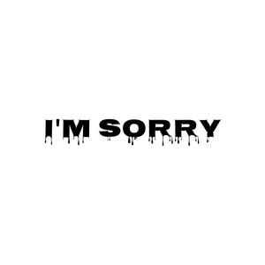 I'm Sorry (Explicit)
