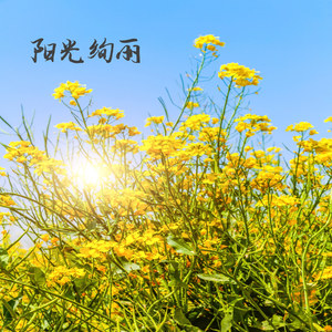 割不断对你深深的爱恋
