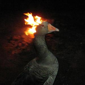 Alcoholic (Explicit)