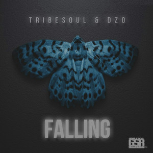 Falling (Original Mix)