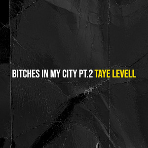 ******* in My City, Pt.2 (Explicit)