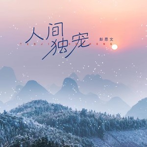 人间独宠 (DJ沈念版)