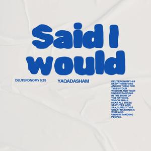 Said I Would (Explicit)